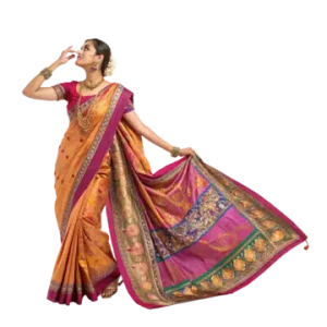 Multi-color Printed Saree