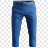 Men Formal Pant